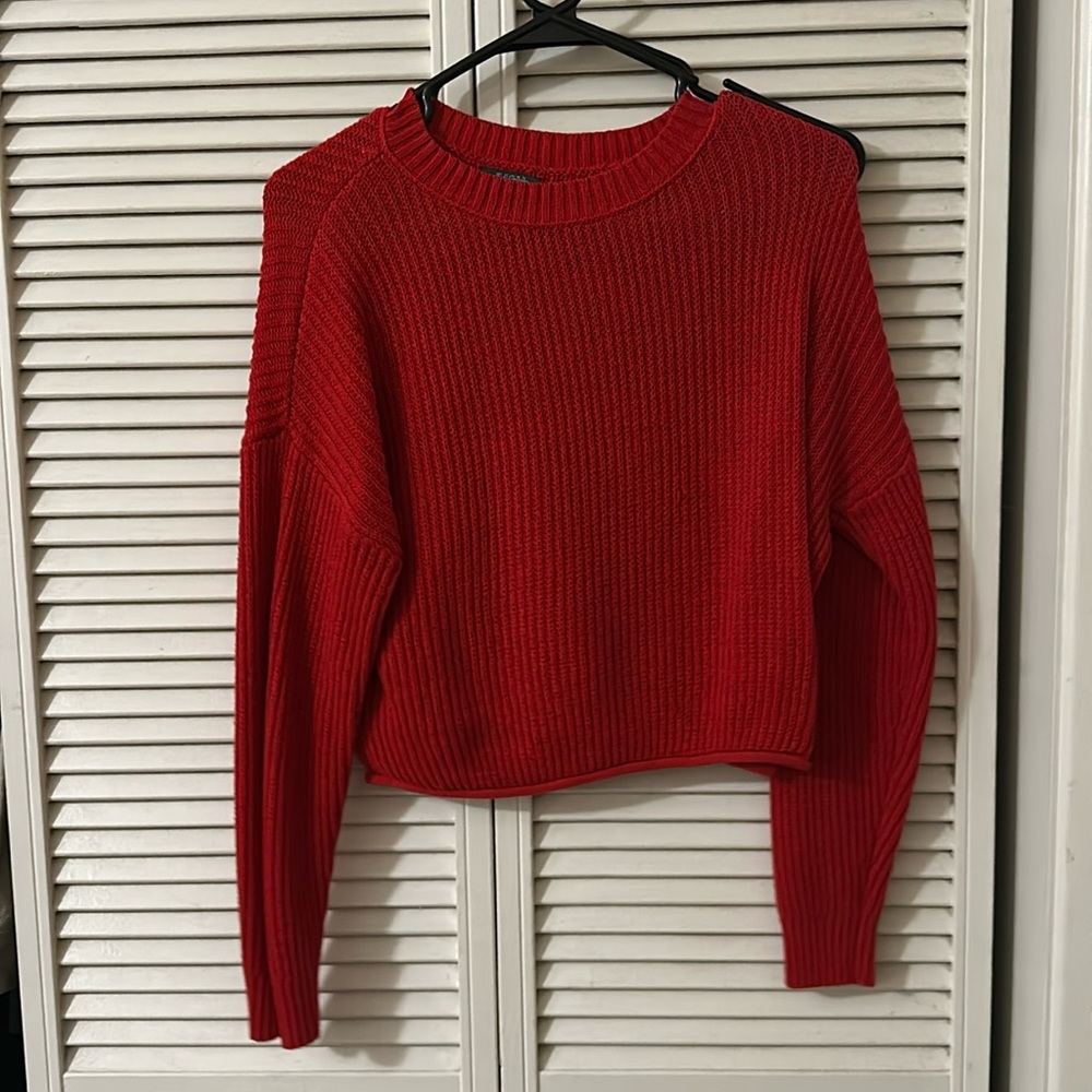 Red Cropped Wild Fable Sweater